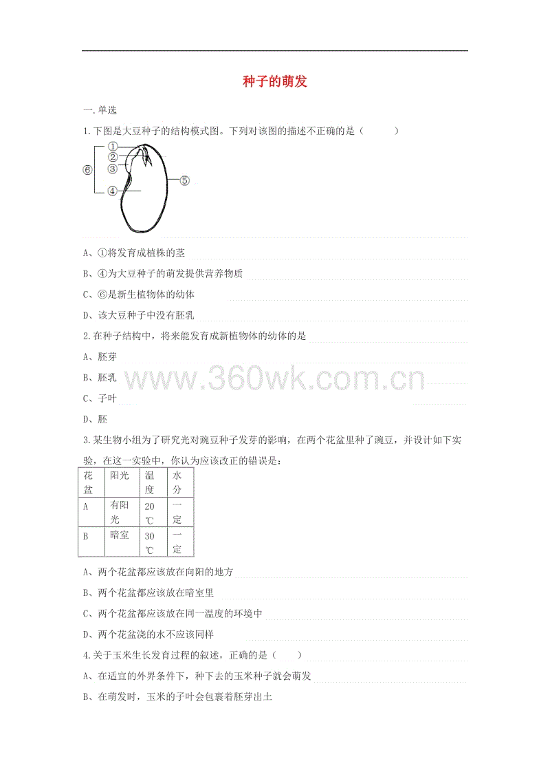 2026世界杯官网