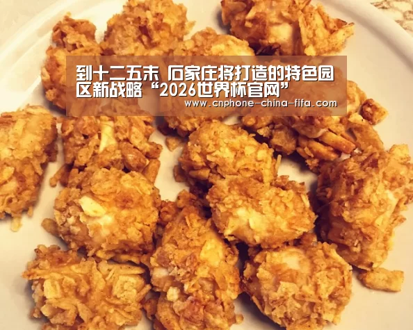 到十二五末 石家庄将打造的特色园区新战略“2026世界杯官网”(图2) 世界杯买球