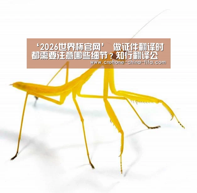‘2026世界杯官网’
做证件翻译时都需要注意哪些细节?知行翻译公司总结了3点(图2) 世界杯买球