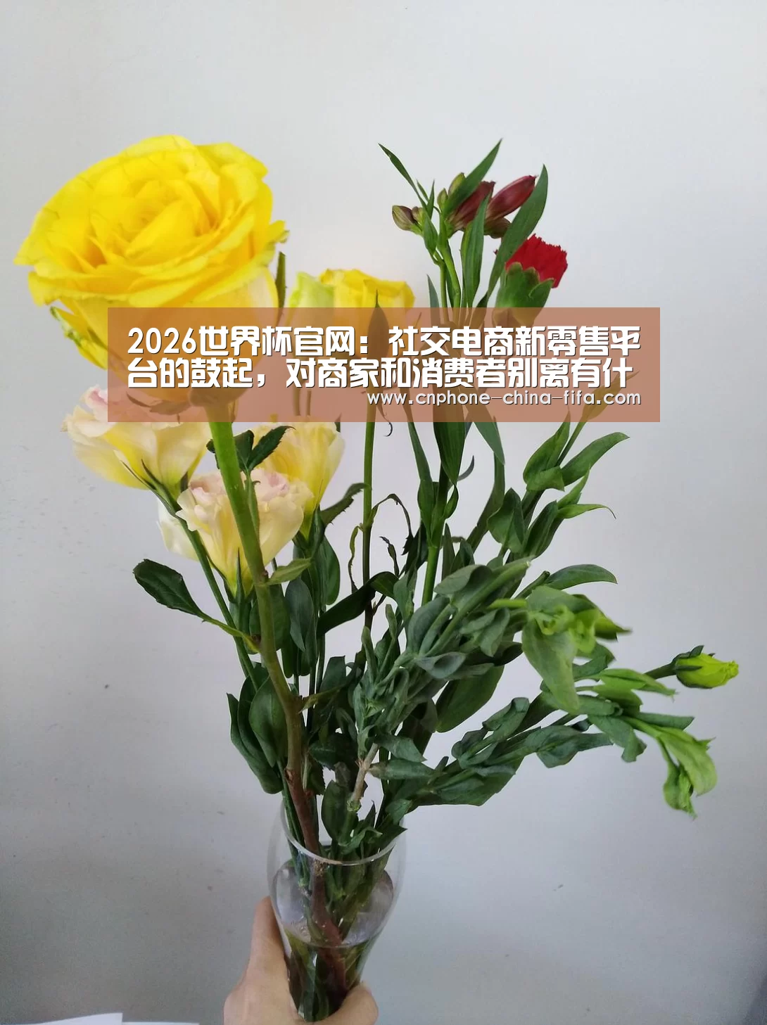 2026世界杯官网:社交电商新零售平台的鼓起,对商家和消费者别离有什么利益?(图2) 2026世界杯