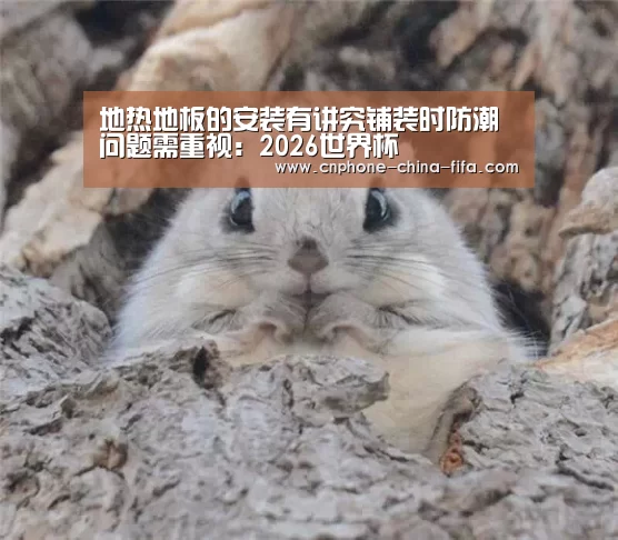 地热地板的安装有讲究铺装时防潮问题需重视:2026世界杯(图2) 世界杯买球