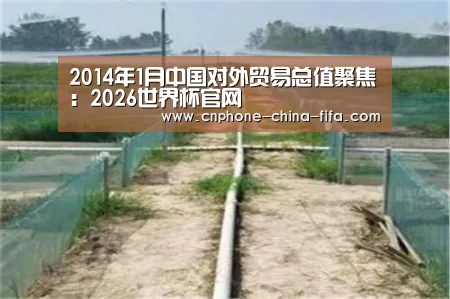2014年1月中国对外贸易总值聚焦:2026世界杯官网(图2) 世界杯买球