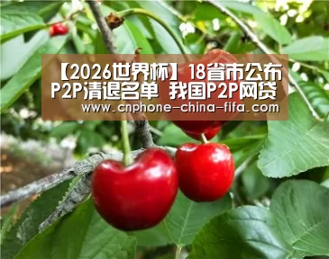 【2026世界杯】18省市公布P2P清退名单 我国P2P网贷行业成交量持续下降(图1) 世界杯买球