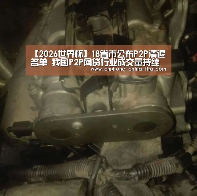 【2026世界杯】18省市公布P2P清退名单 我国P2P网贷行业成交量持续下降(图2) 2026世界杯