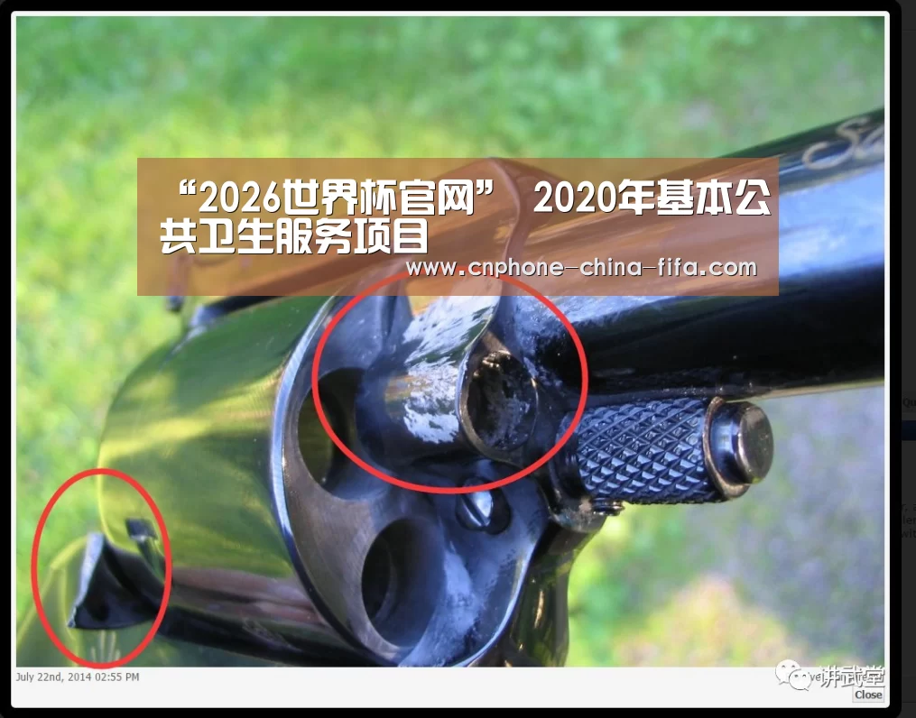 “2026世界杯官网”
2020年基本公共卫生服务项目(图2) 世界杯买球