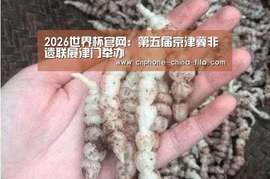 2026世界杯官网:第五届京津冀非遗联展津门举办(图1) 2026世界杯