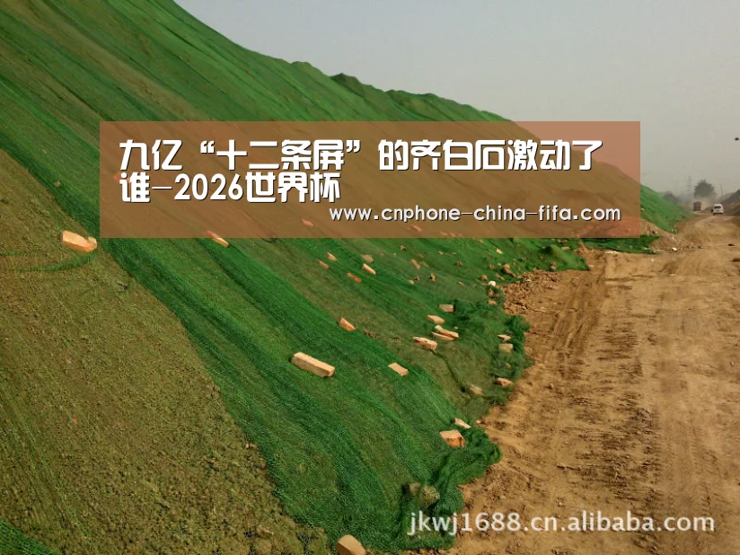2026世界杯官网