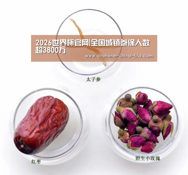 世界杯买球